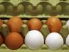 Miért drágább a barna héjú tojás, mint a fehér?