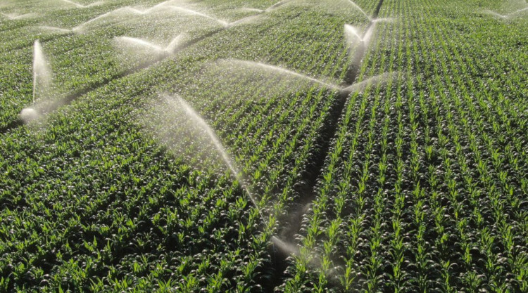 A termésbiztonsághoz a vízvisszatartás és a víztakarékos öntözéses gazdálkodás feltételrendszerének biztosítása is szükséges