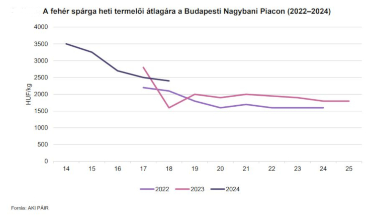 A fehér spárga heti termelői ára a Budapesti Nagybani Piacon