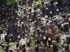 Több ezer méh él ezen a sziklafalon: nem könnyű itt a méhészek dolga +VIDEÓ