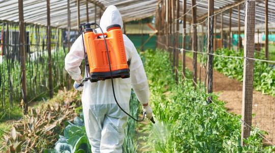 Miért gyártanak betiltott növényvédő szereket az EU-ban?