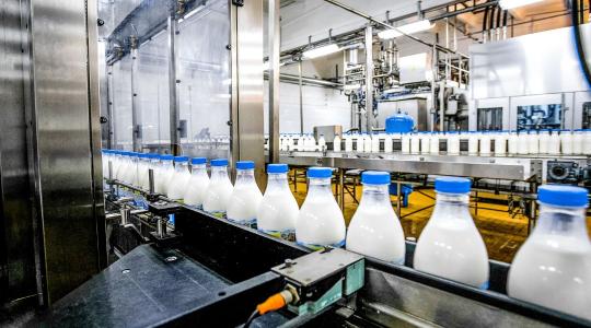 Szezonális csúcsponton a nyers tej ára?