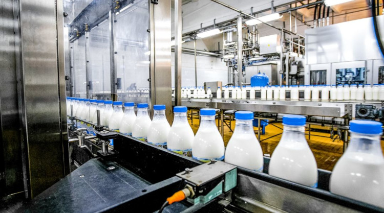 A világpiacon csökkent a nyers tej ára