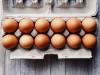 Lejtmenetben a tojás ára