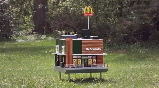 Miniatűr éttermet nyitott a McDonald's – méheknek +VIDEÓ