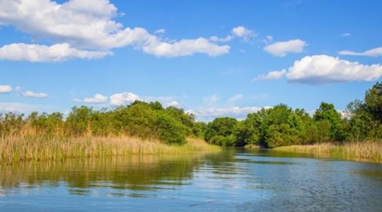 Horgászok, figyelem! Fél áron lehet vásárolni éves jegyet a Tisza-tóra