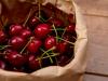 Olcsó lengyel cseresznye áraszthatja el a piacokat