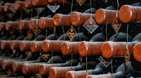 Számottevően nőtt tavaly a bortermelés. Kilátástalan helyzetben a magyar borexport.