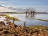 A dél-németországi áradások súlyos terméskieséssel fenyegetnek