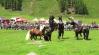 Tirolban ezreket vonz, mikor a Noriker mének egymásnak esnek +VIDEÓ