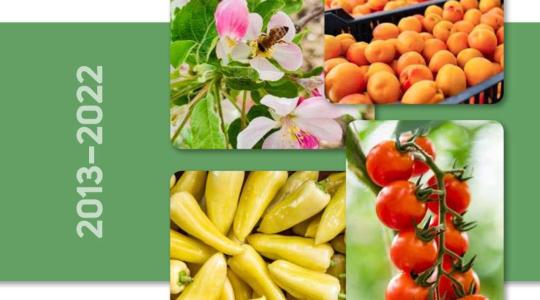 Zöldség-gyümölcs ágazati bulletint készített a FruitVeB és a NAK
