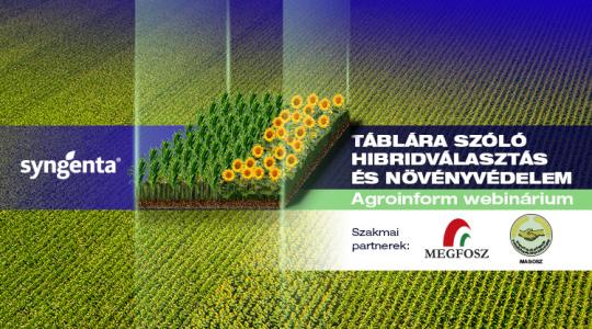 Táblára szóló hibridválasztás és növényvédelem – Agroinform webinárium