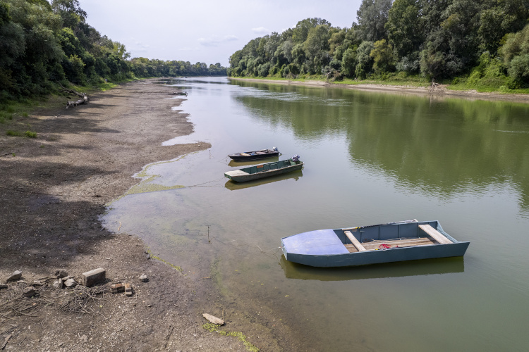 A Tisza alacsony vízállása Vezsenynél 2024. augusztus 22-én