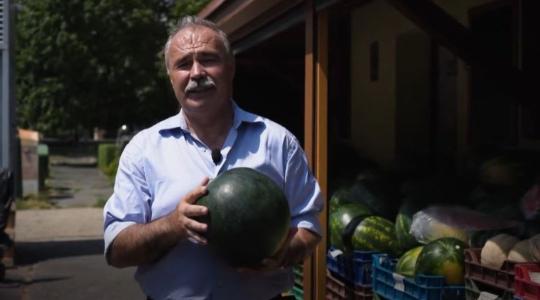 Nagy István: Segítsünk a magyar termelőkön, és válasszuk a hazai dinnyét! + VIDEÓ