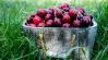 Cseresznye: a vitaminbomba, amit érdemes beilleszteni az étrendedbe