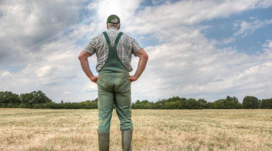 Hogyan csökkenthetők az agráriumban a klímaváltozás okozta károk?