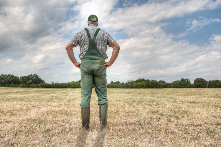 Teljesen átalakíthatja a magyar gazdák életét az éghajlatváltozás