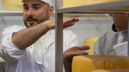 Érlelt sajtkészítés, mint befektetés? Nem ördögtől való gondolat