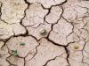 Légköri aszály, UV stressz és csapadékszegény talaj - ezekre figyelmeztet a szakértő