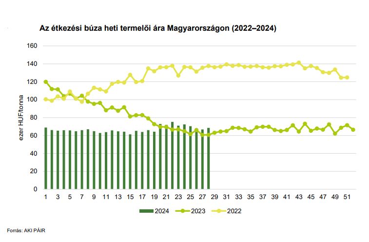 Az étkezési búza heti termelői ára Magyarországon