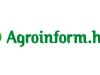 Óriási elismerés: az Agroinform a legstabilabb cégek egyike!