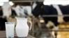 Elkészült a klímabarát tej, ennyivel kerül többe, mint a normál 