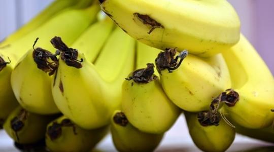 Banánból textil és elektromos áram? Igen, lehetséges