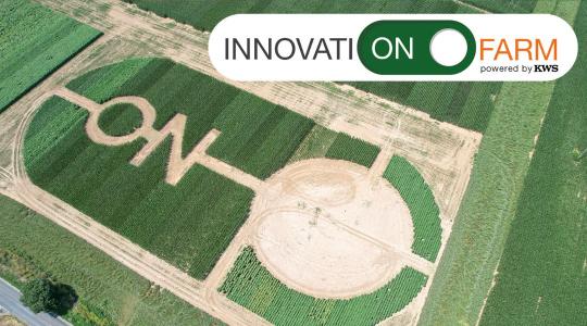 KWS Innovation farm