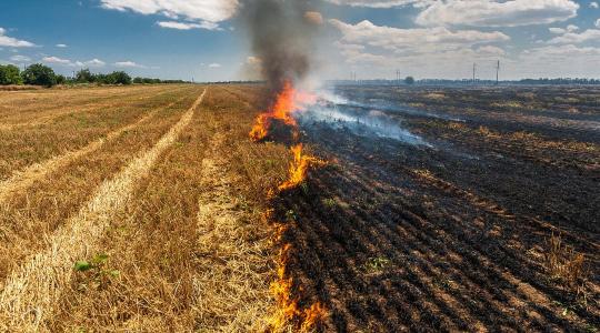 Brutális tűz! 50 hektáron égett a tarló Kővágószőlős és Kővágótöttös között