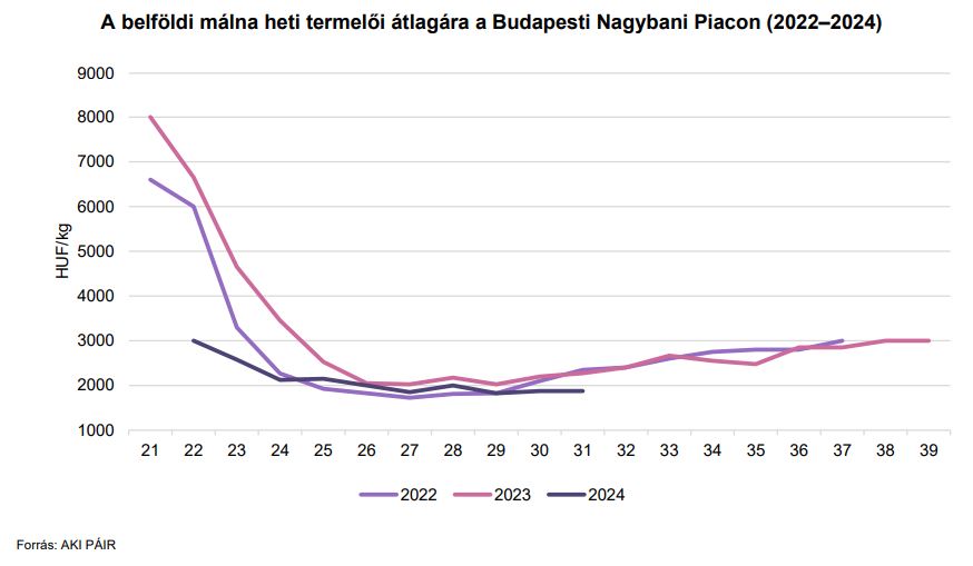 A belföldi málna heti termelői átlagára