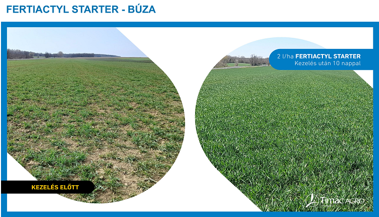 FERTIACTYL STARTER kezelés 2 l/ha