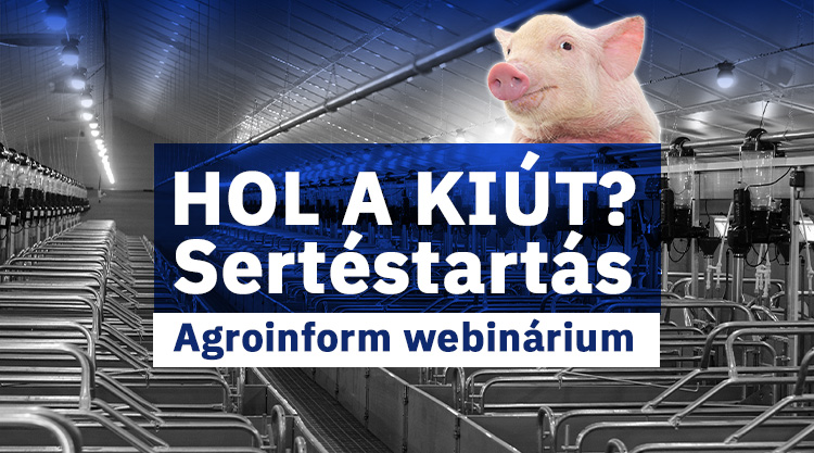 Hol a kiút? – Sertéstartás Agroinform webinárium