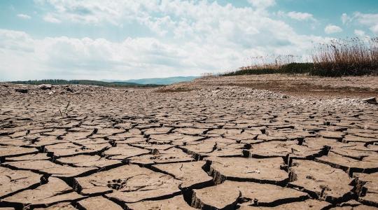 A mediterrán időjárás jelentősen átalakítja a hazai növénytermesztést