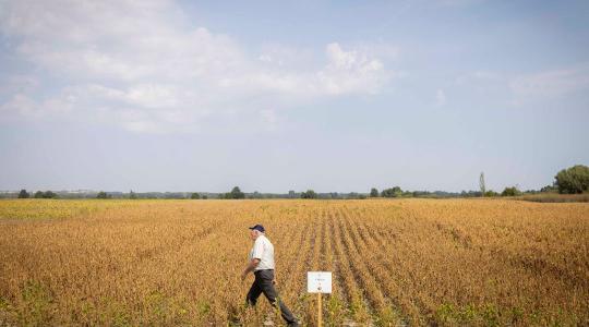 Elképesztő számokat közölt az agrárminiszter