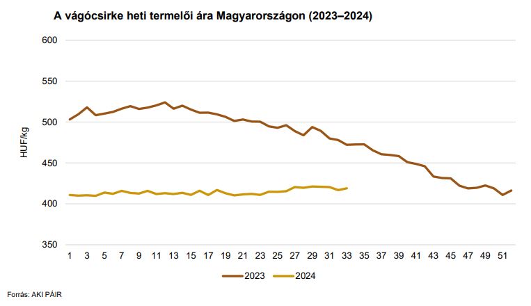 A vágócsirke heti termelői ára Magyarországon