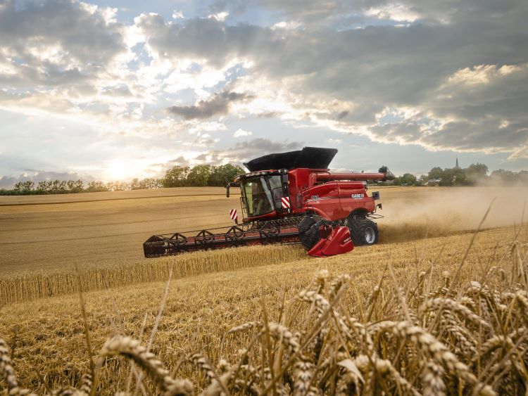 CASE IH