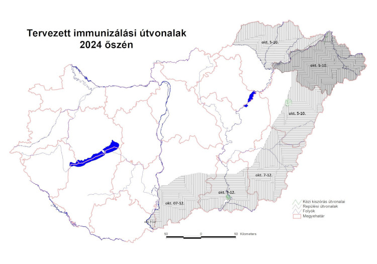 Október 5-től indul a repülőgépes rókavakcinázás az ország keleti és déli vármegyéiben