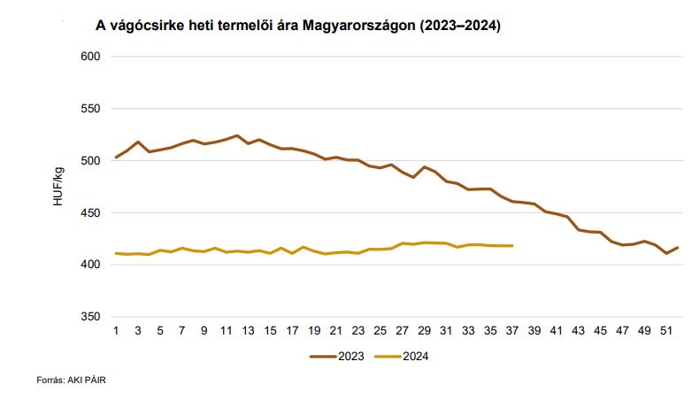 A vágócsirke heti termelői ára Magyarországon