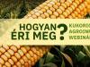 Hogyan éri meg? Kukorica Agroinform webinárium