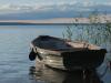 Többé már nem édesvizű tó a Balaton