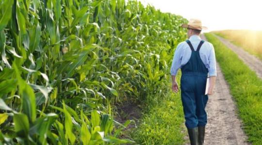 Ez lenne az agrárium Bermuda-háromszöge? Tényleg itt tűnik el a pénz?