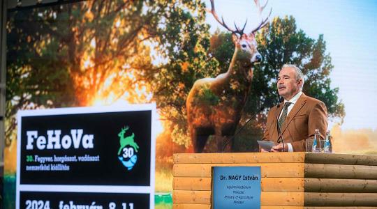 Nagy István: mintegy 310 milliárd forint pályázati támogatás jut a hazai erdőkre 2027-ig