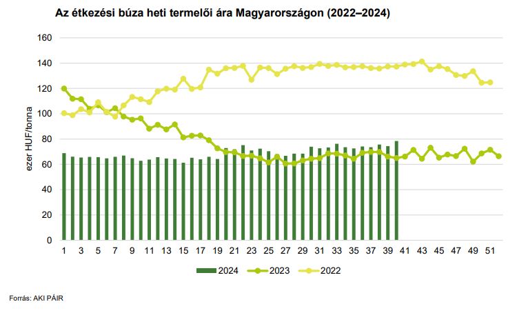 Az étkezési búza termelői ára a 40. héten 78 430 Ft/t volt