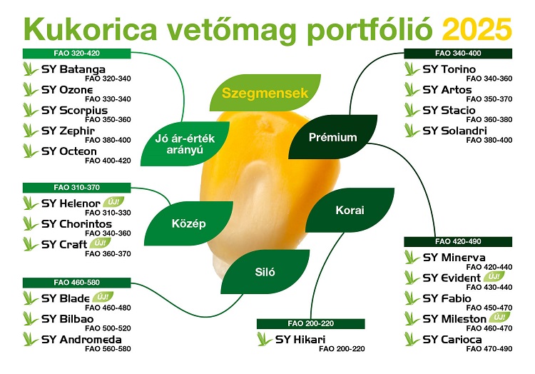 kukorica vetőmag