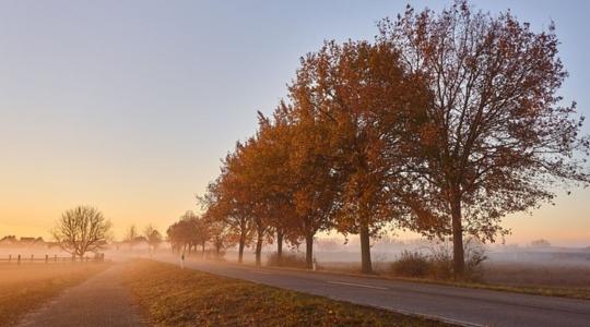 Időjárás: Erősödik a ködhajlam + VIDEÓ