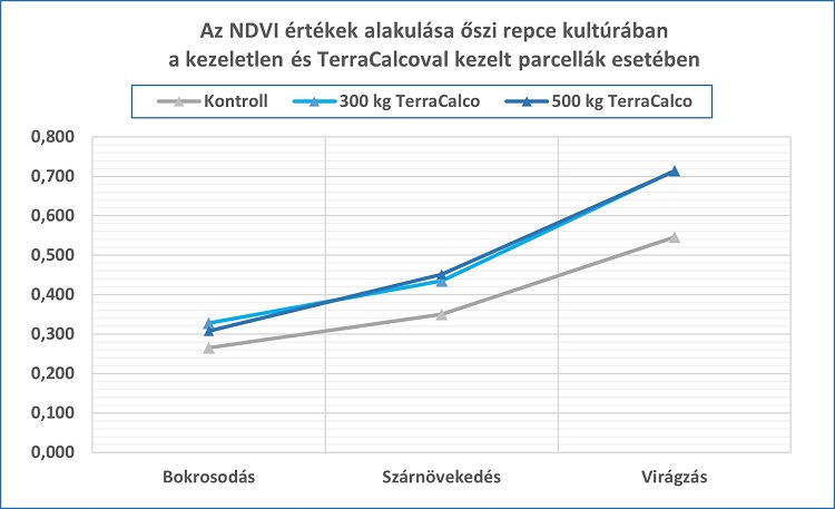 Az NVDI értékek alakulása őszi repce kultúrában