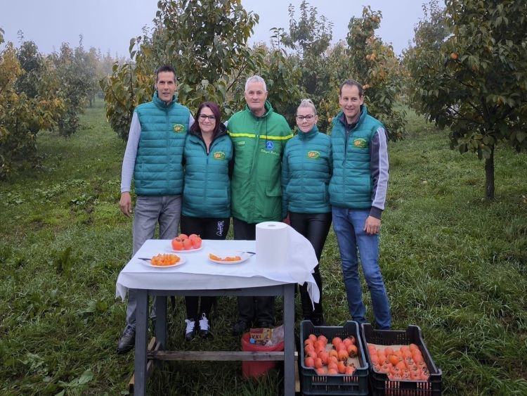 Harcz Endre, kakiszilva-ültetvénye