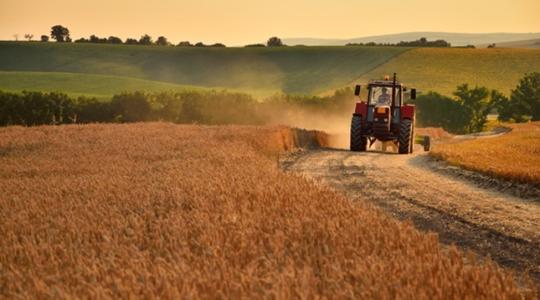 2040-re a német mezőgazdasági üzemek több mint 50%-a eltűnhet