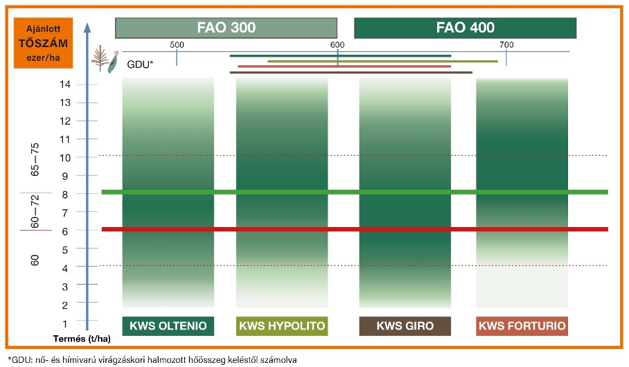 KWS Oltenio, Giro, Hypolito, Forturio