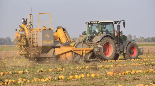 Időjárás: Mutatjuk, mire lehet számítani a következő napokban